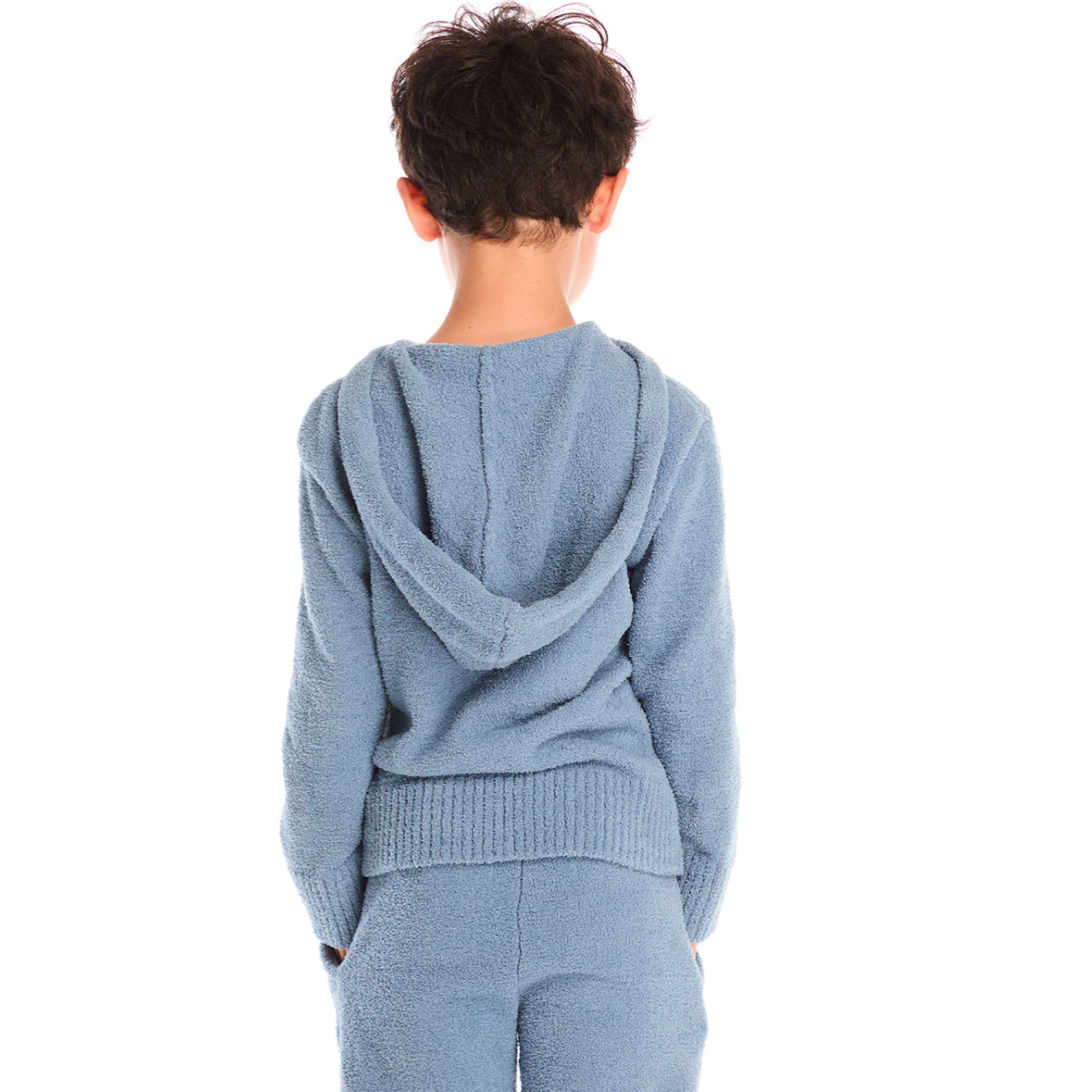 paxton tahoe blue zip up hoodie