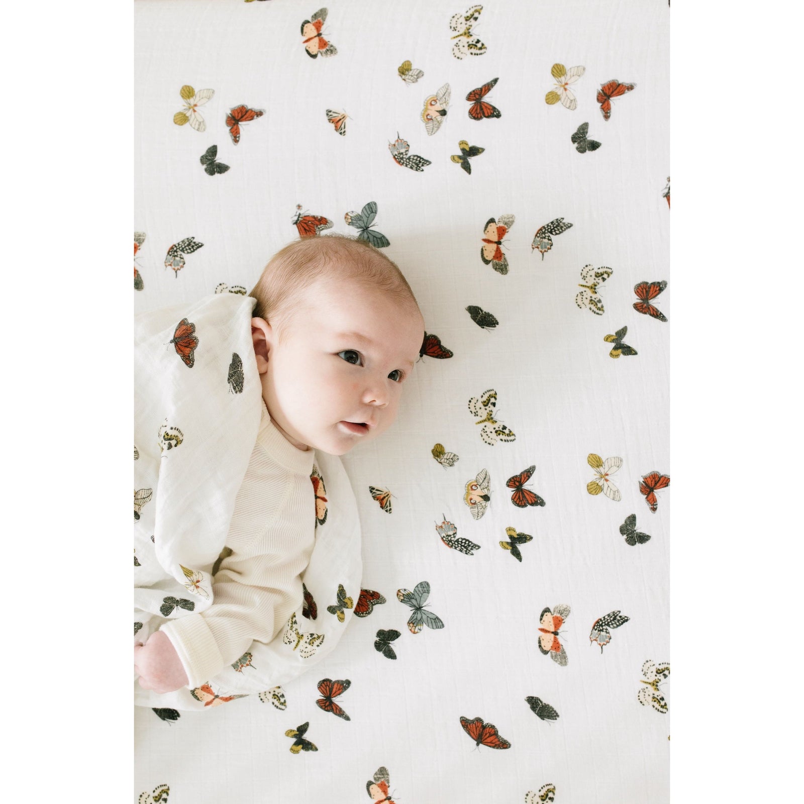 Butterfly Migration Crib Sheet