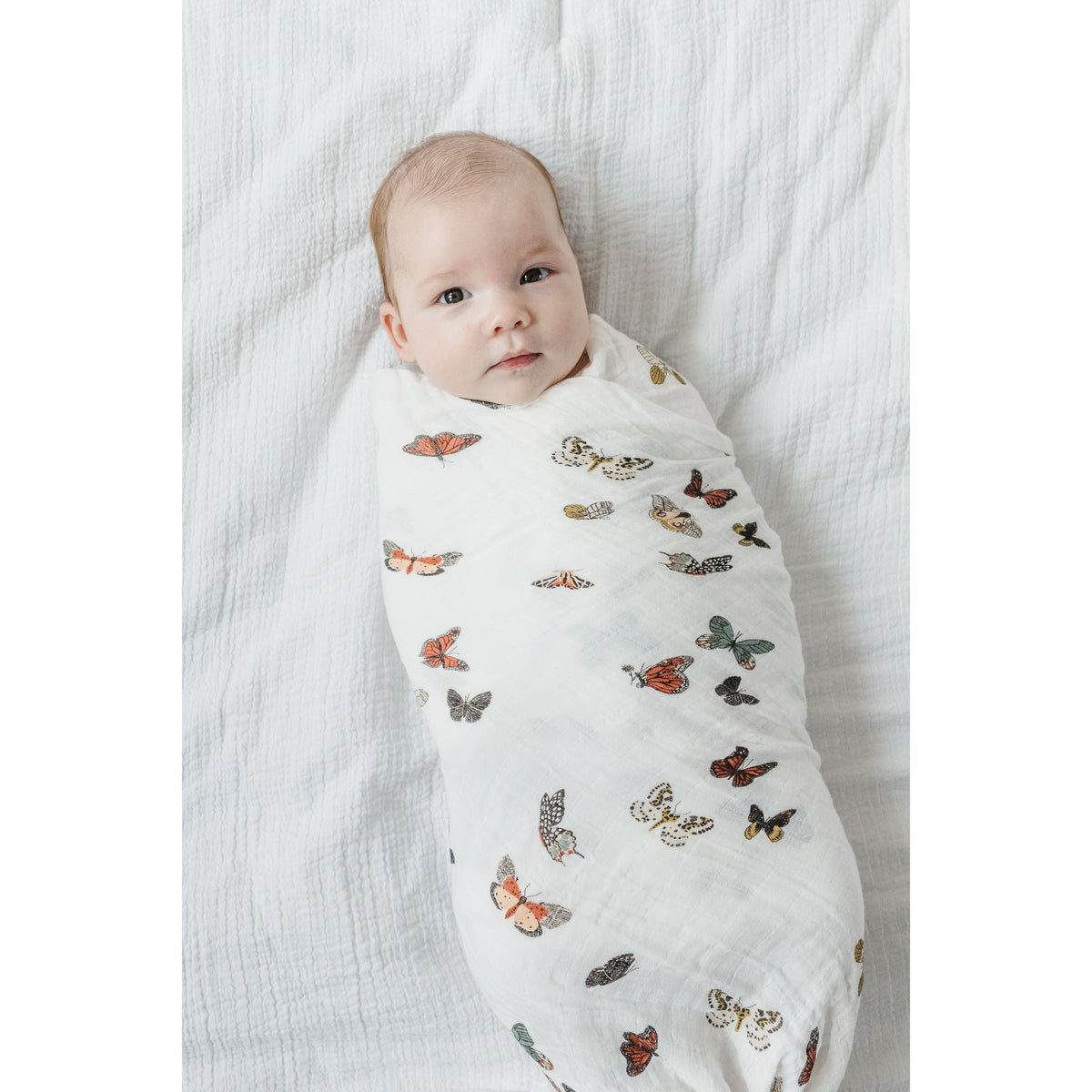 Butterfly Migration Swaddle