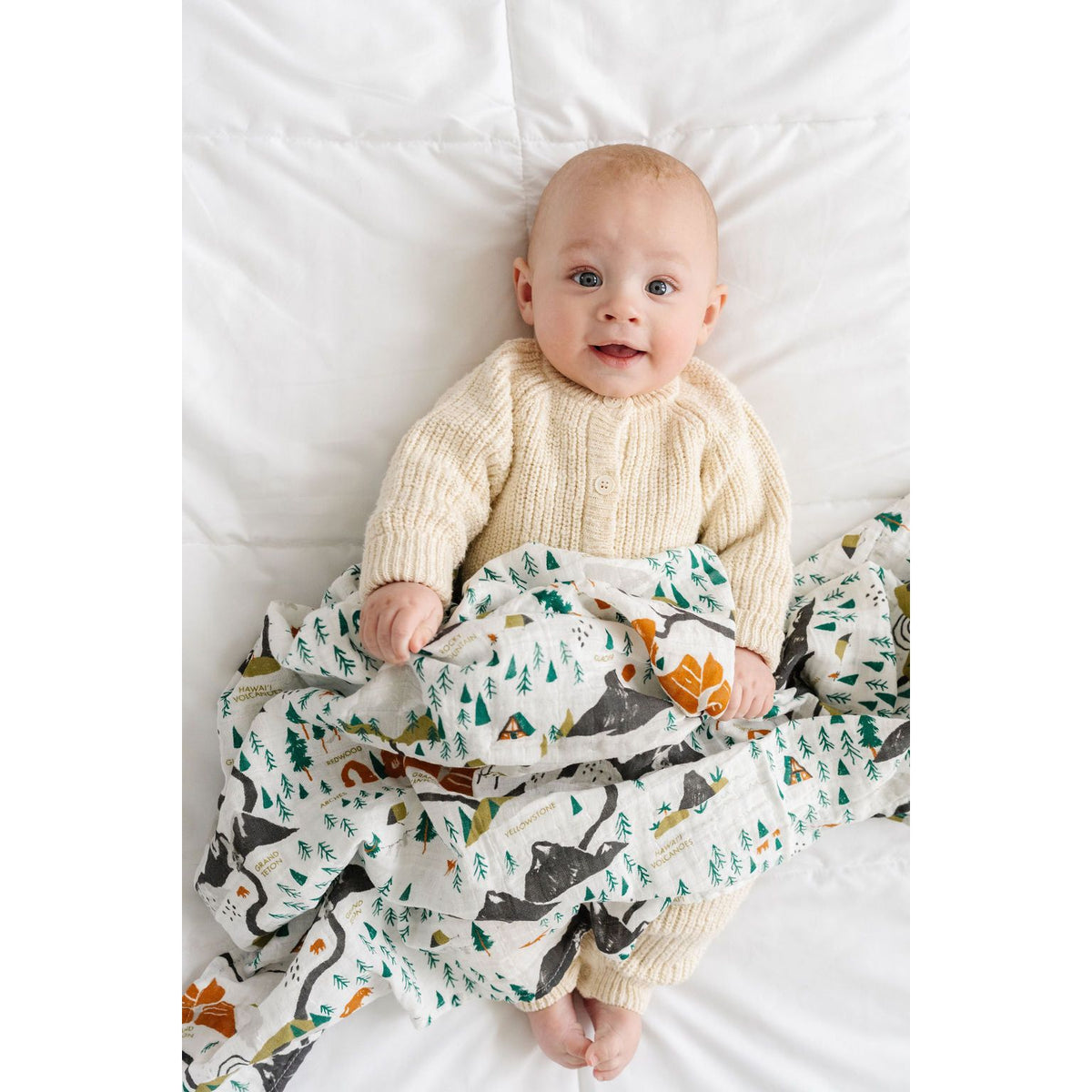 National Parks Swaddle (Mini Pattern)
