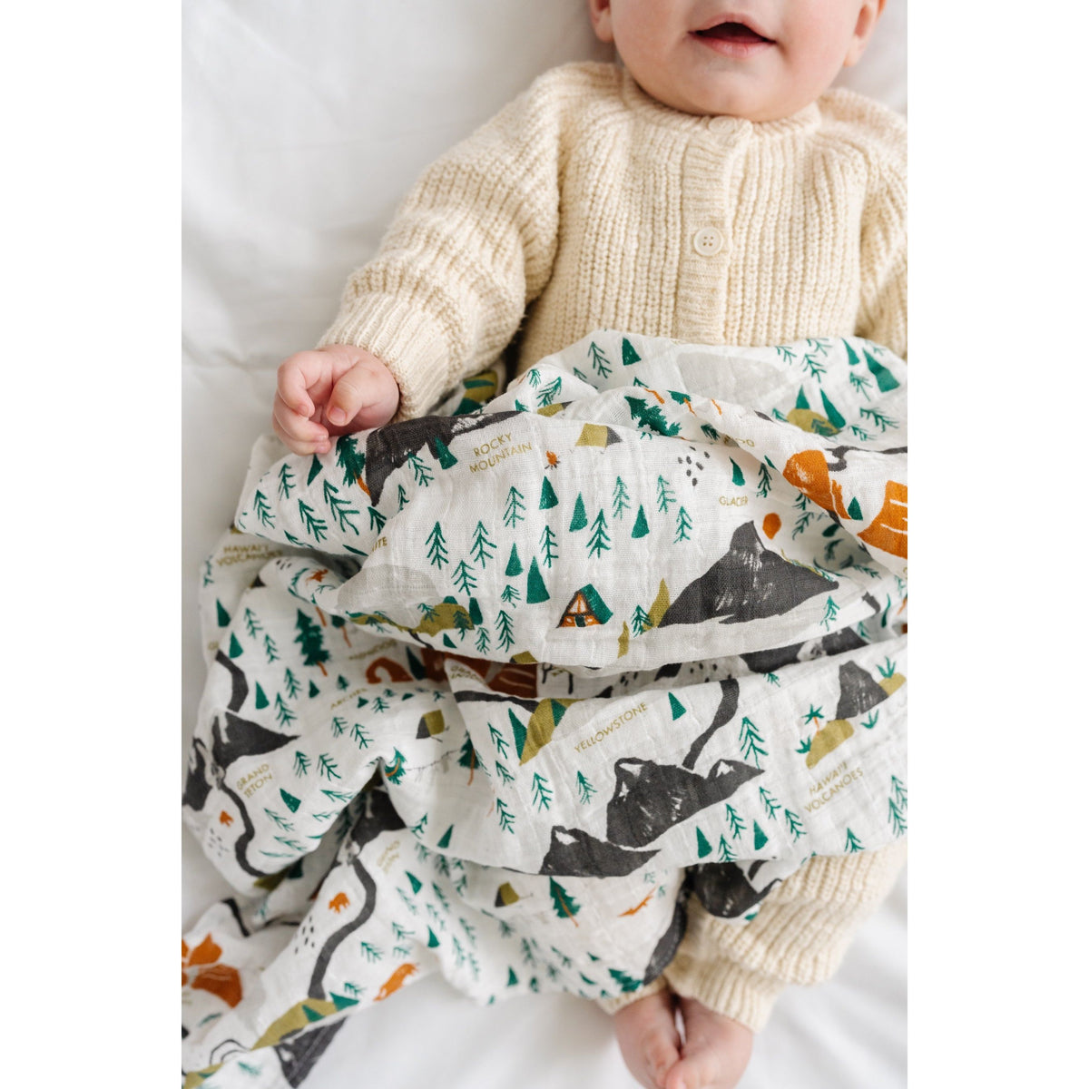 National Parks Swaddle (Mini Pattern)