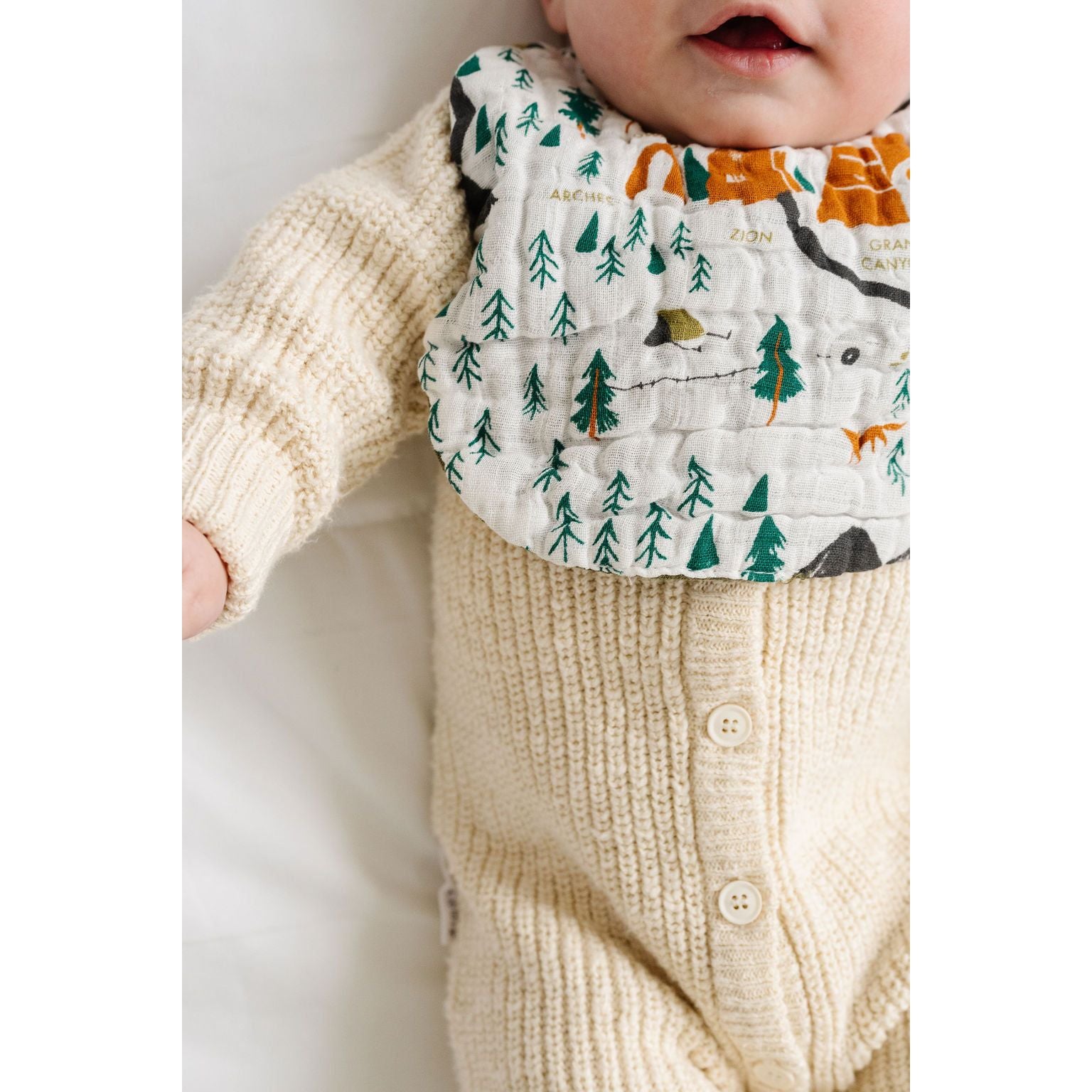 National Parks Bib