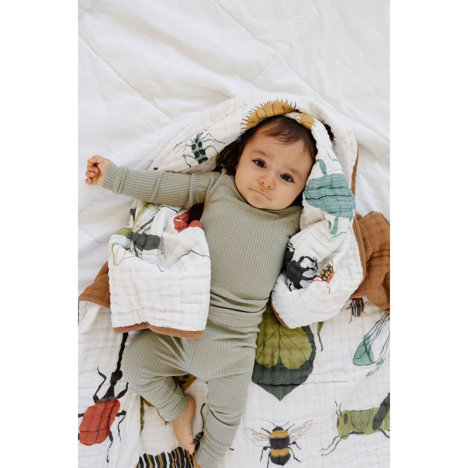 Cutie Crawlies Quilt
