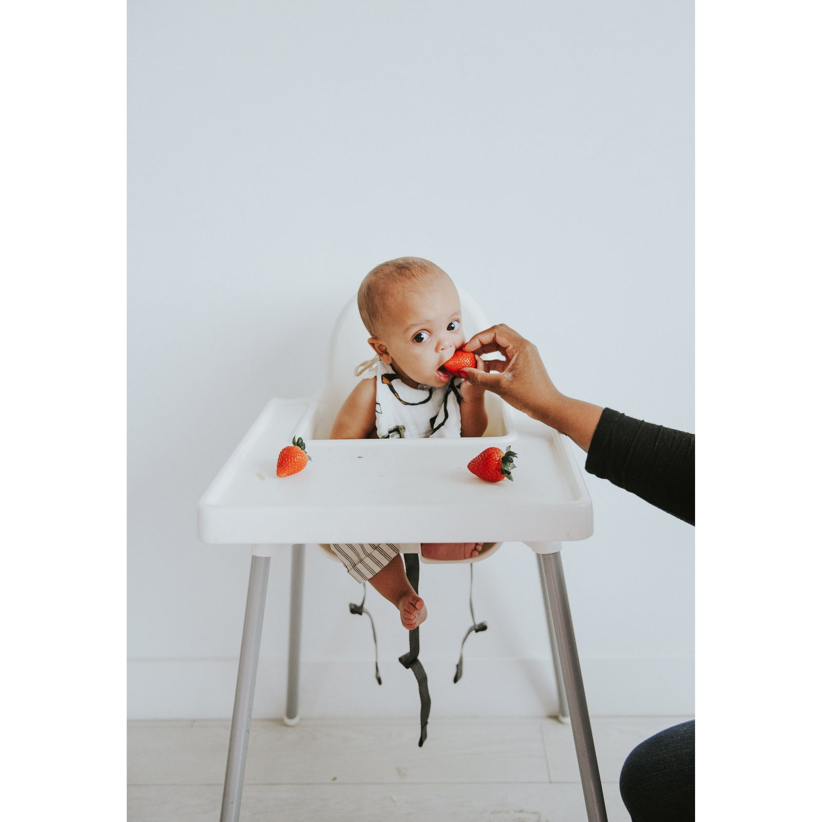 Zoology and Specs Bib Pack