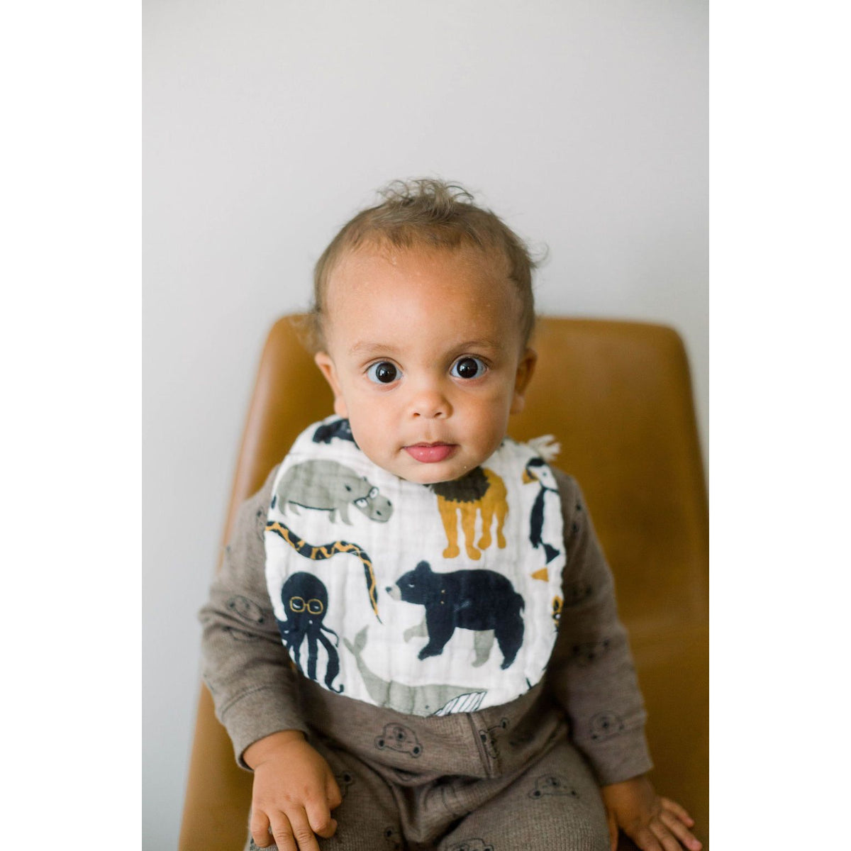 Zoology and Specs Bib Pack