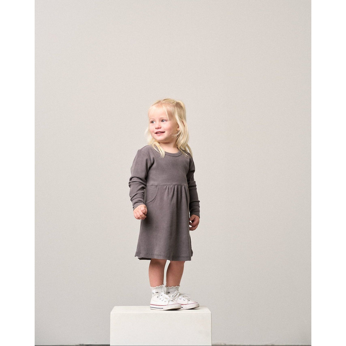 Long Sleeve Ribbed Dress - Graphite