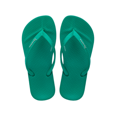 anatomic colors kids | dark green