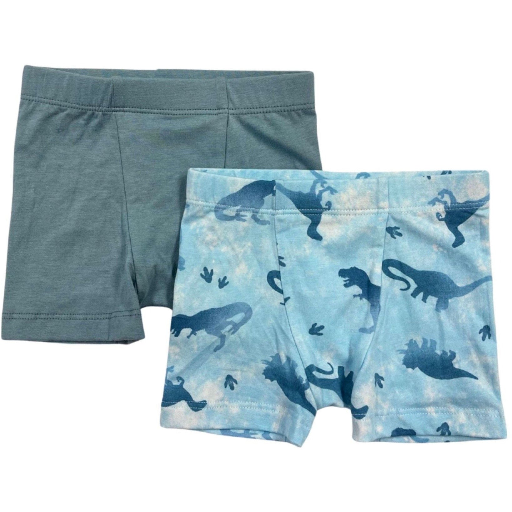 2 piece boxer set in ombre dino