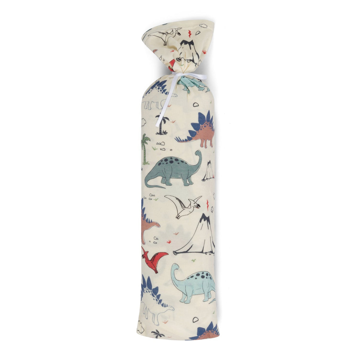 Dino Swaddle