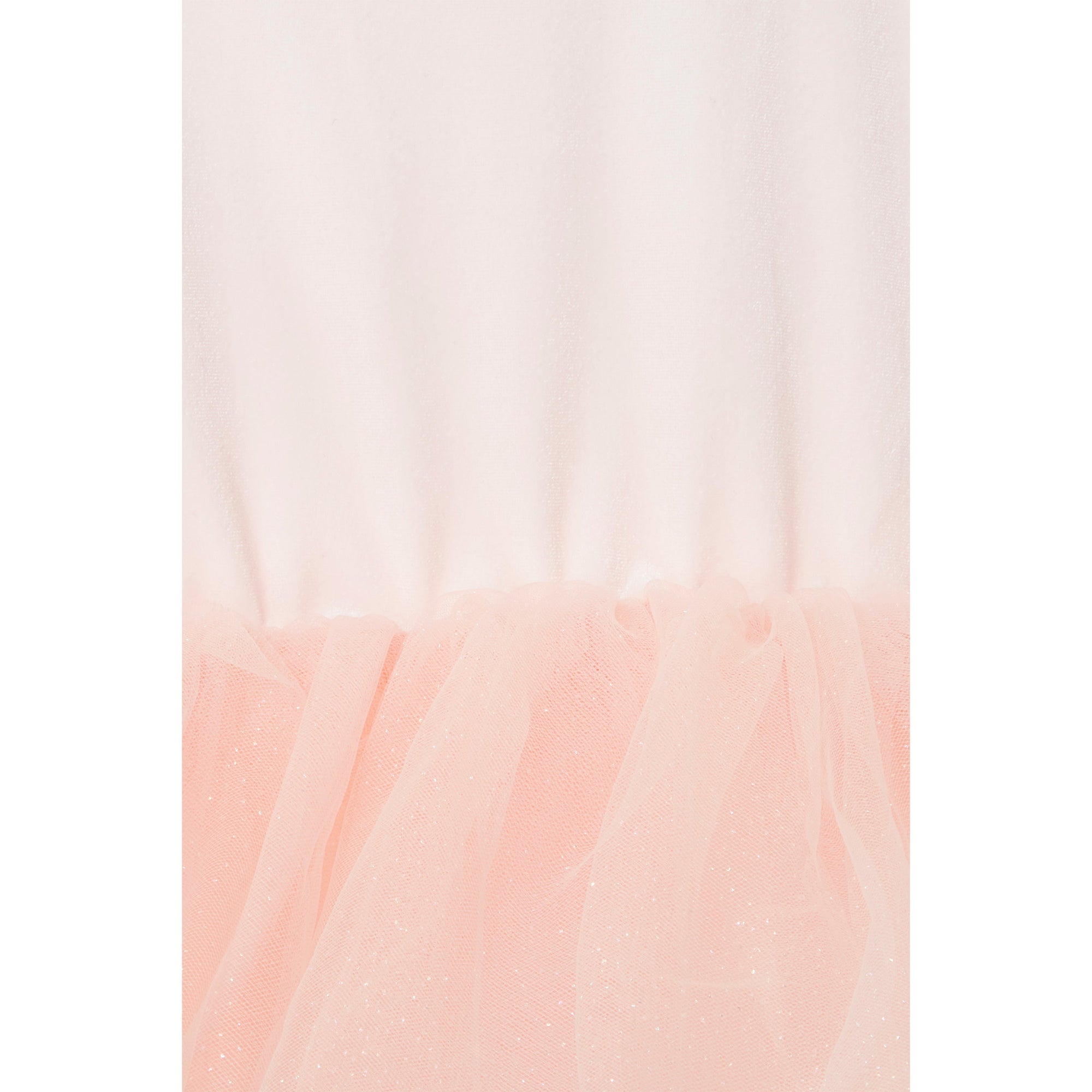 B.A.E. Velvet Tutu Dress