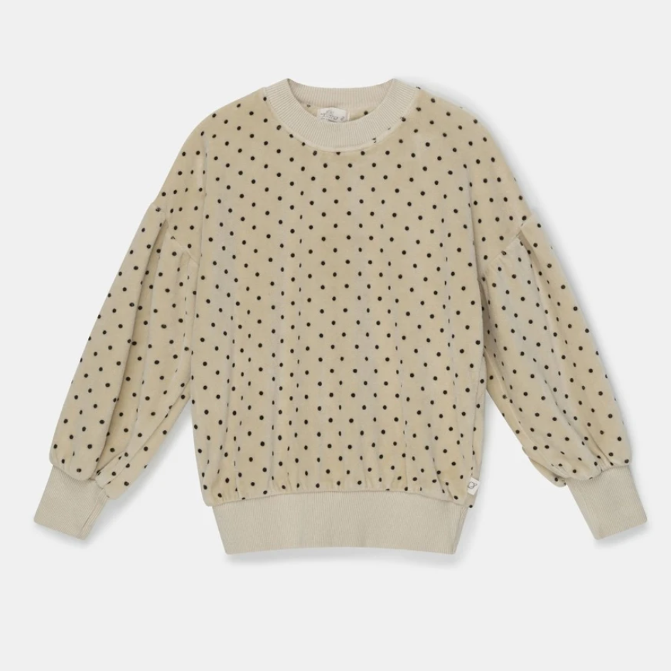 sweatshirt in polka dot velour