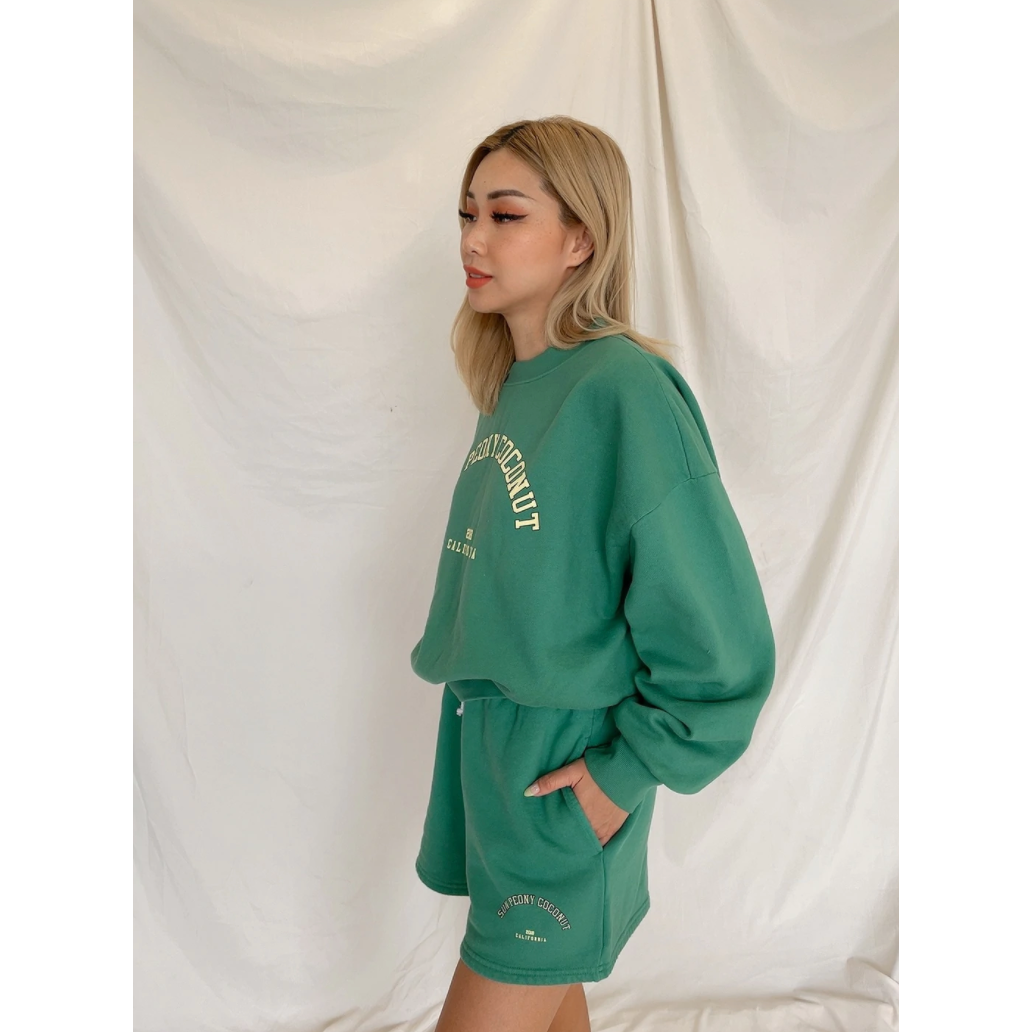 college sweatshirt