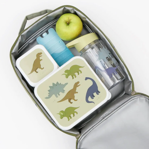 dinosaurs cool / lunch bag