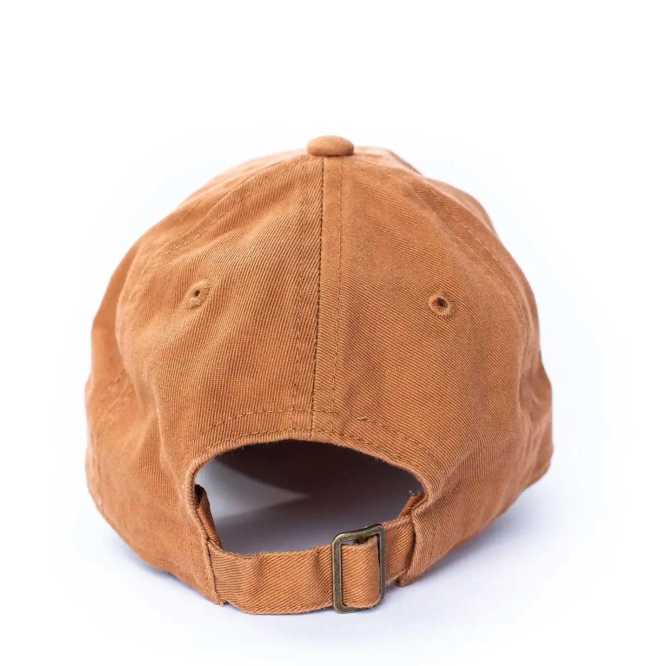 big bro hat in terracotta