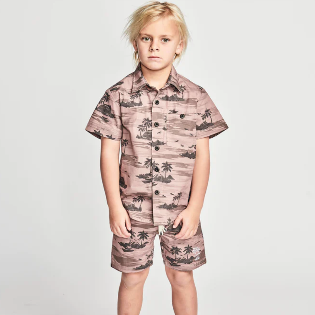 beach hut short | fawn