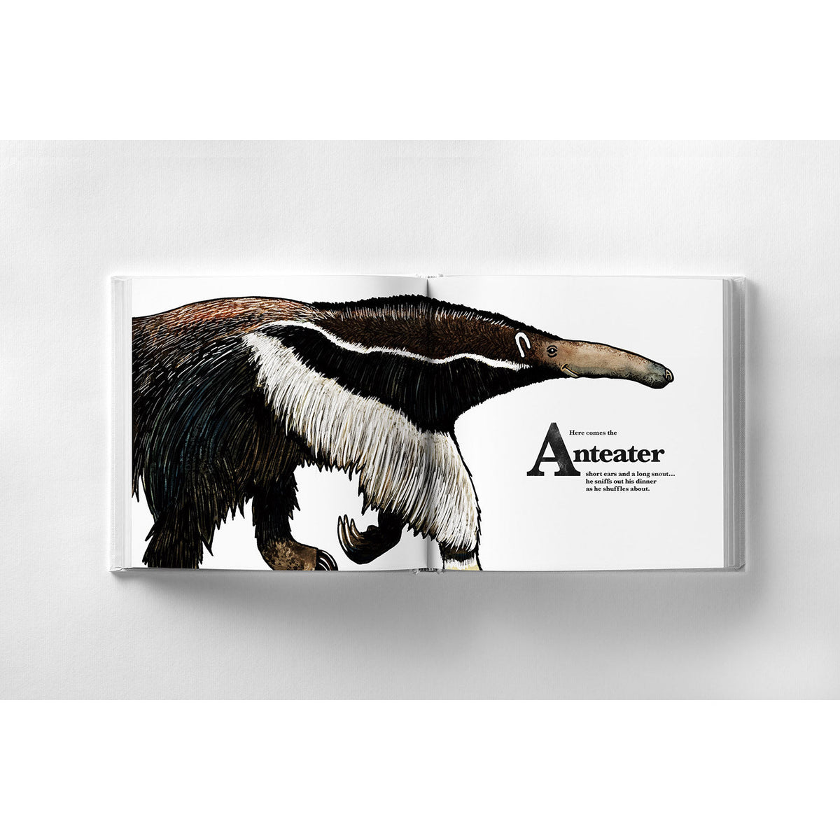 ABCs at the zoo book