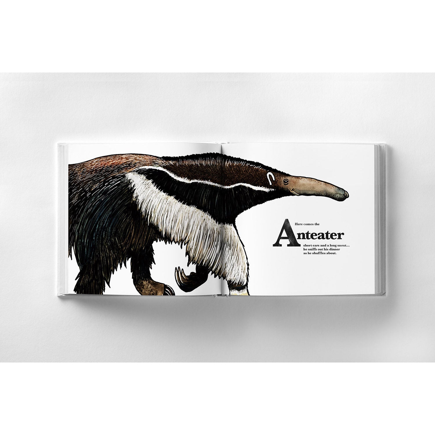 ABCs at the zoo book