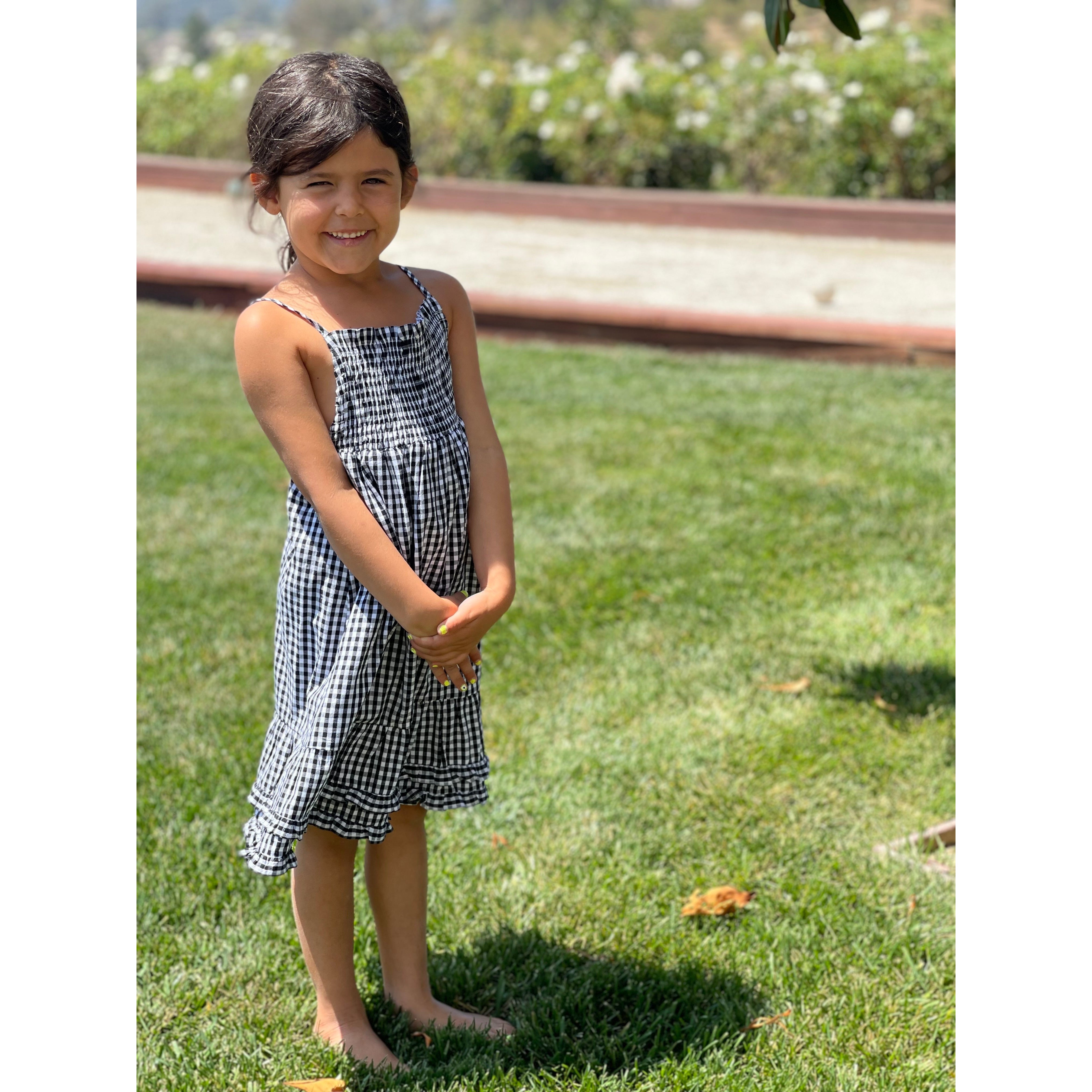 the louise dress in gingham