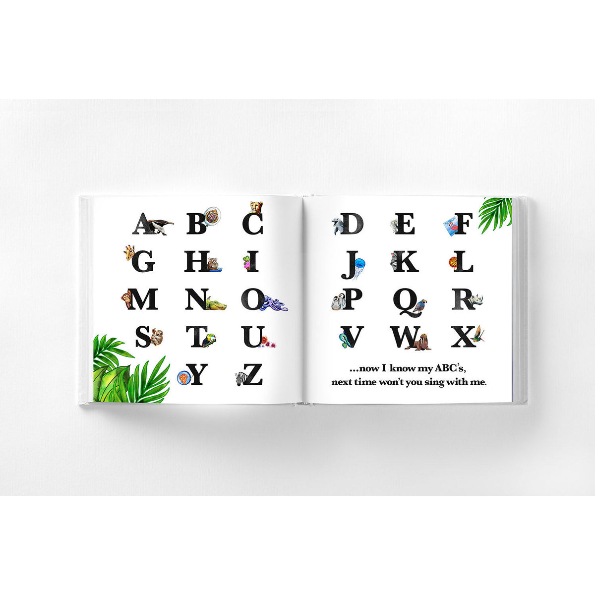 ABCs at the zoo book