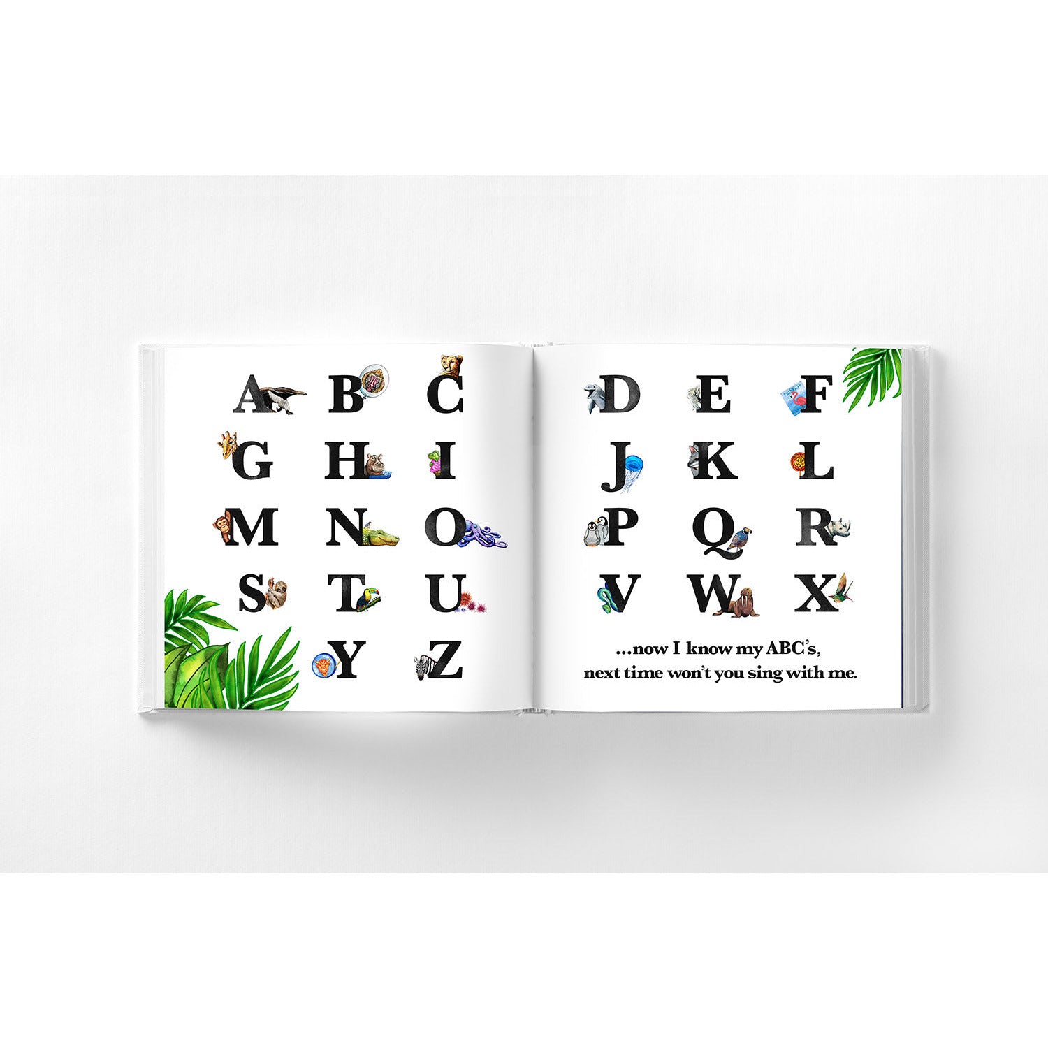 ABCs at the zoo book