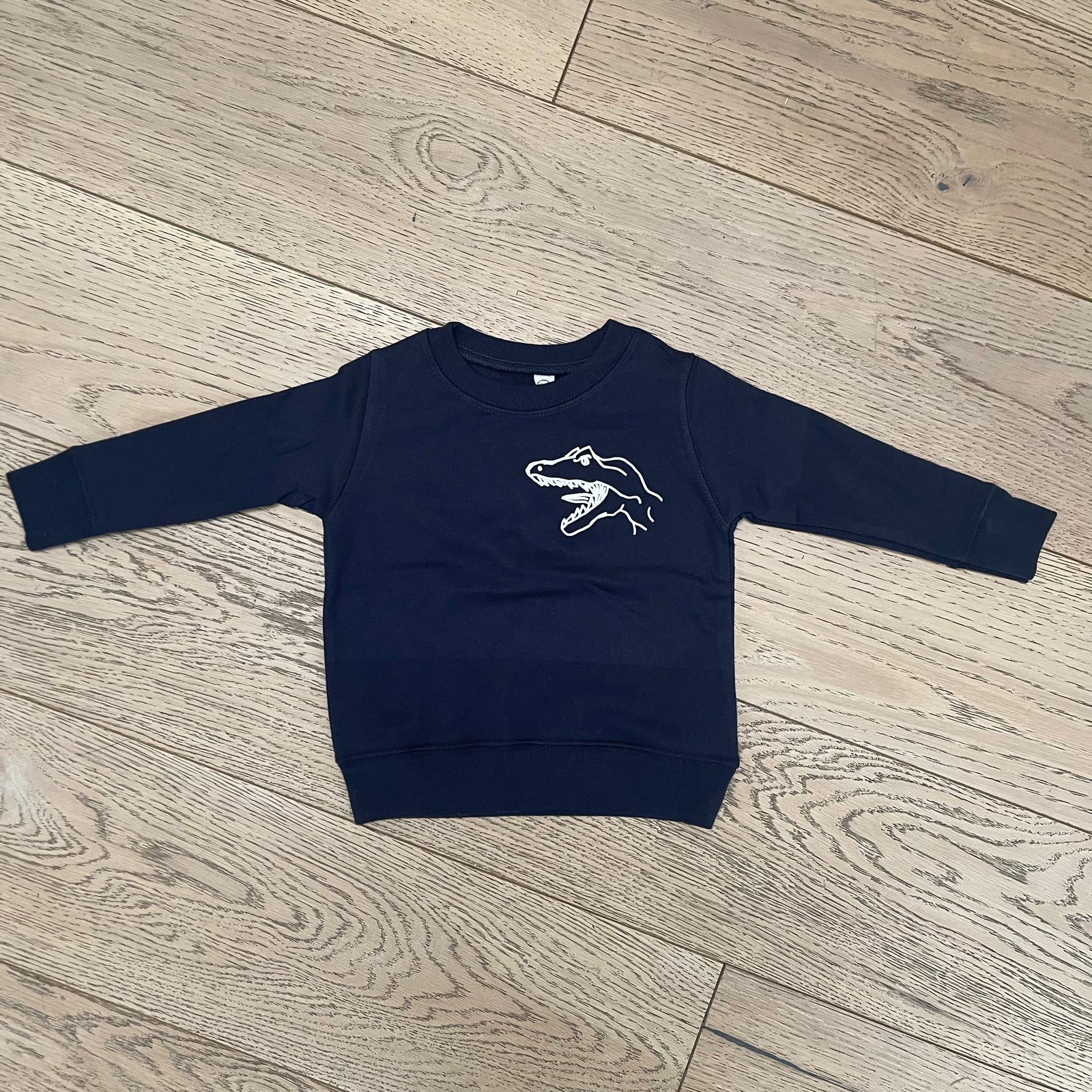 dinosaur sweatshirt