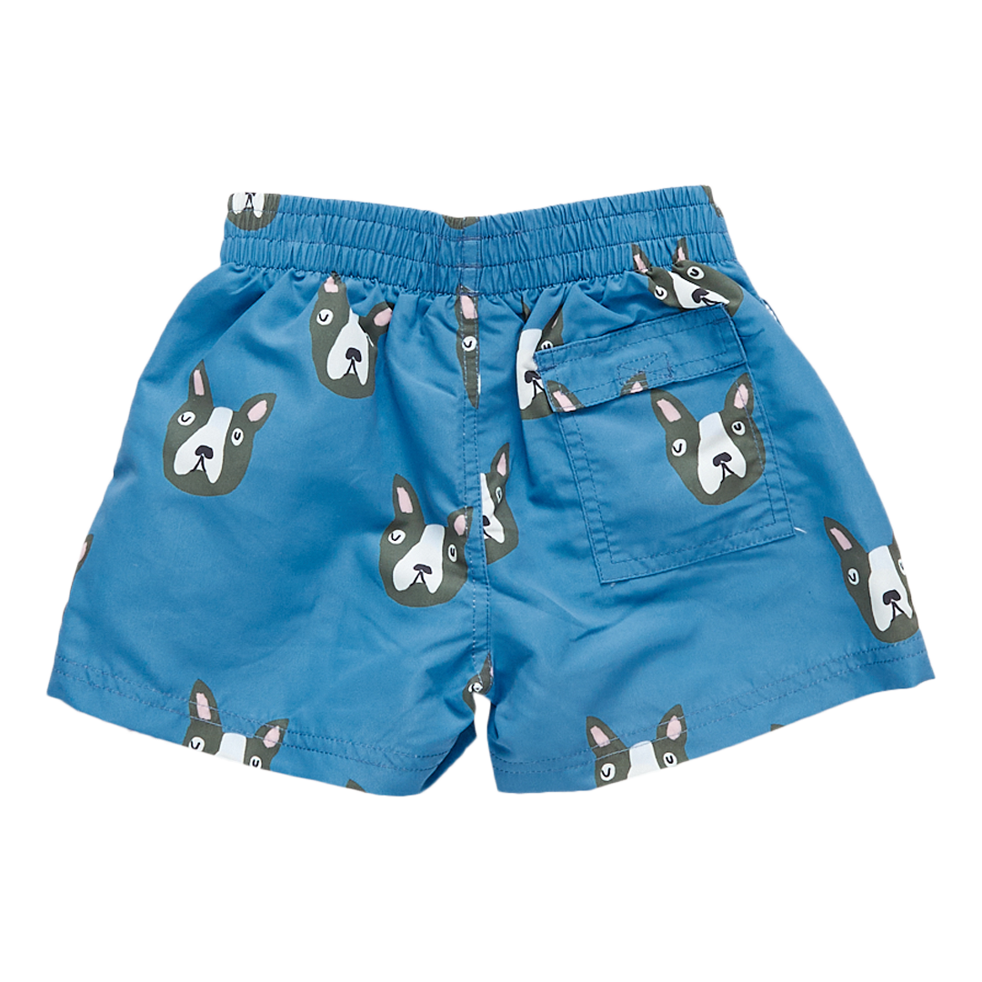 blue boston terrier swim trunk