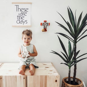 organic zoo mist romper