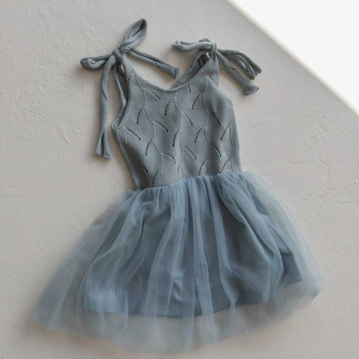 summer wren dress in elsa blue