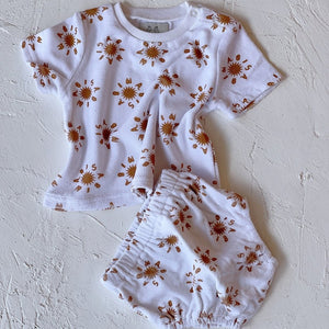 wasabi sun teri set in rust