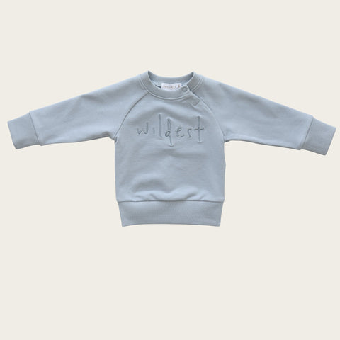 wildest sweatshirt in faded denim