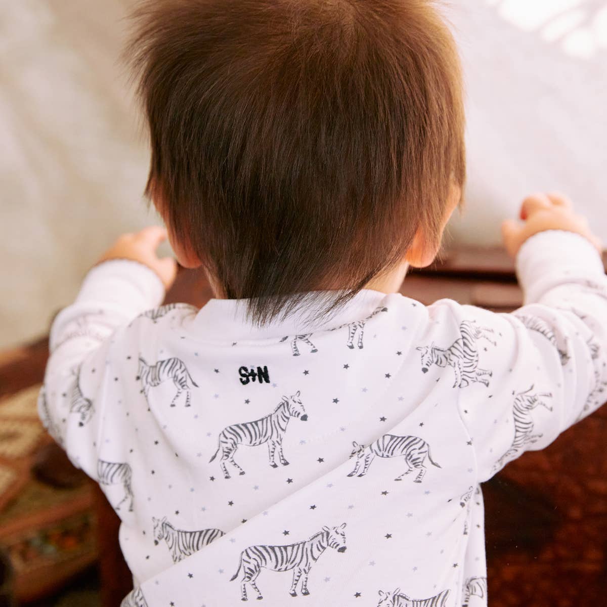 zebra mini star take home set